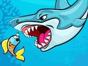 Fat Shark